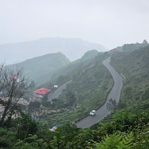 Rohini Road