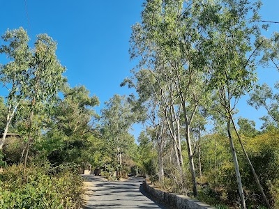 Guru Shikhar Road
