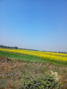 Janghai Road