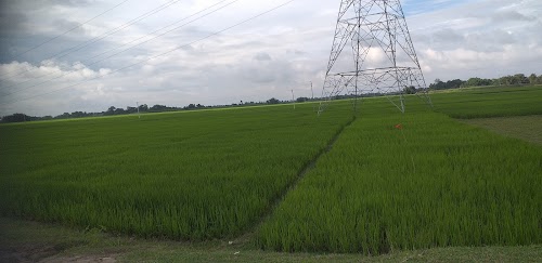 Jokihat-Dalmalpur Road