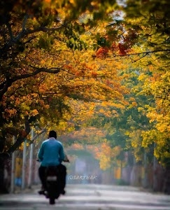 Naini Road
