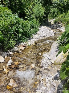 Ramnagar Road