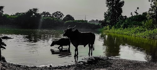 Sahaspur Road