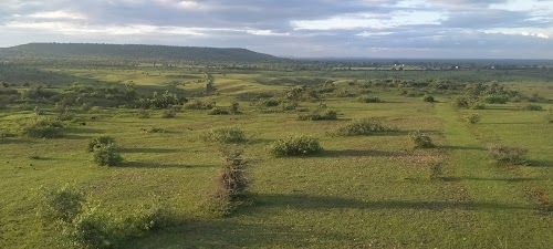 Surkhi Road