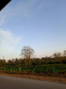 Doloo Road