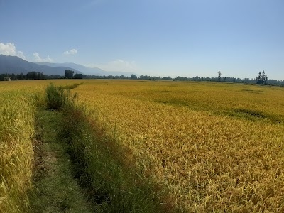 Handwara Bypass