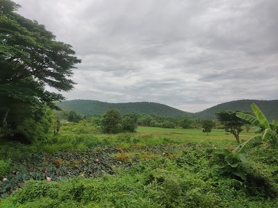 Chiang Mai
