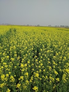 Illambazar - Durgapur Bypass Road