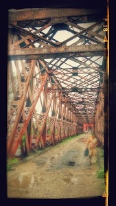 Laksar - Balawali Road