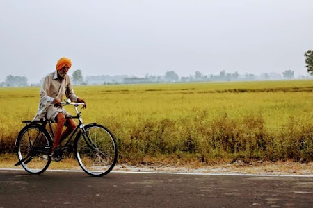 RS Pura Road