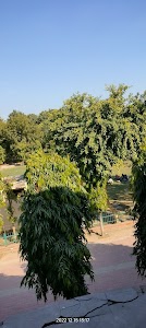 BSA College Road
