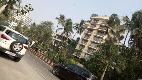 Carter Road