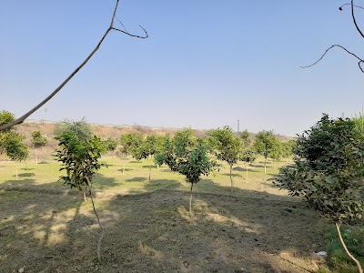 Hisar - Kaithal Road
