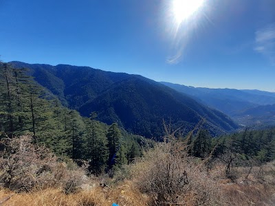 Kandaghat-Chail-Kufri Road