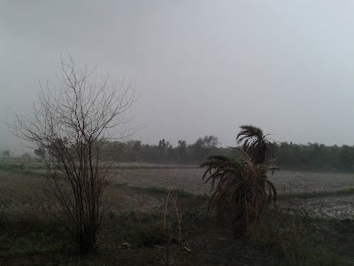 Palwal - Sohna Road