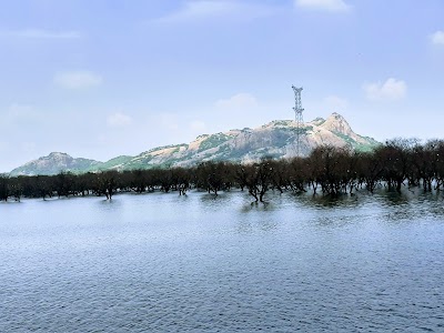 Suryapet Bypass Road