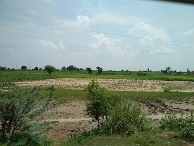 Bharatpur Rd