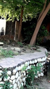 CCS University Road