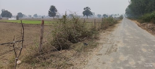 Pandu Pindara Station Road