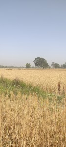 Pratapgarh - Kunda Road