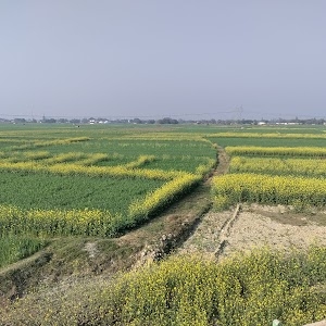 Purvanchal Expressway