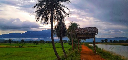 Keonjhar - Telkoi Road