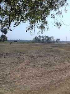 Kurthaul - Bhelwara Road