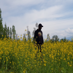 Magam - Beerwah Road