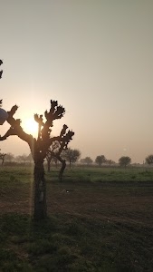 Jhunjhunu - Narnaul Road