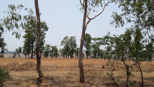 Mainpat Road