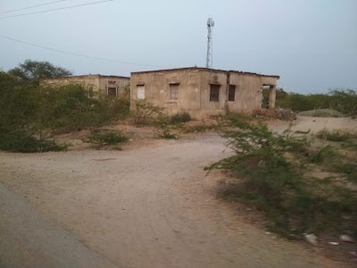 University Road