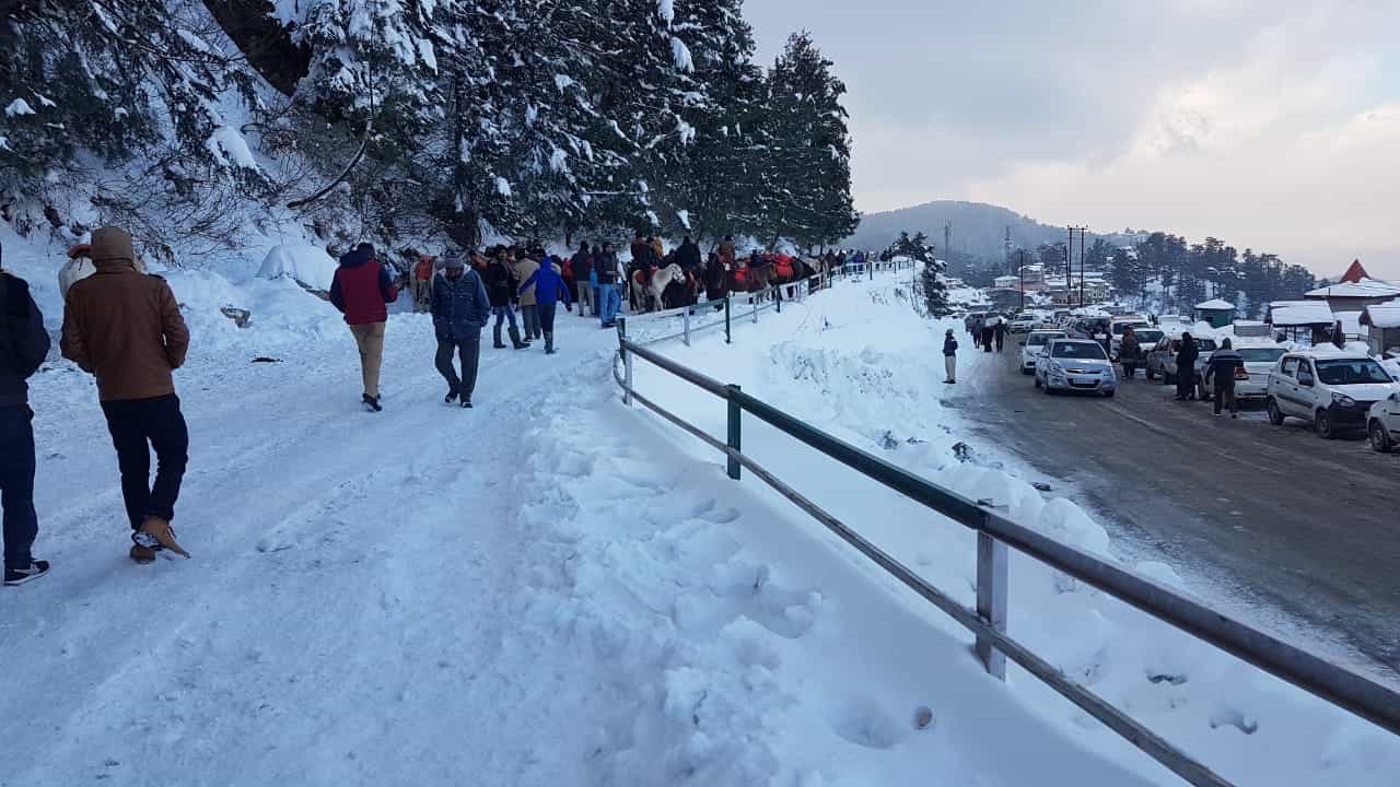 Kufri - Chail Road