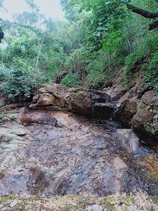 Netarhat - Ghaghra Road