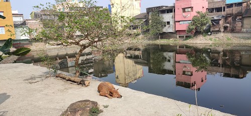 Gosaba Bazaar Main Road