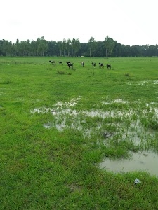 Lawana Pariyawa Road