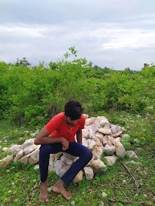 Nathdwara - Mavli Road
