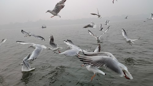 Sangam Road