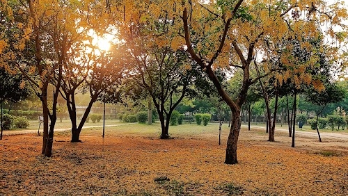 Atal Park