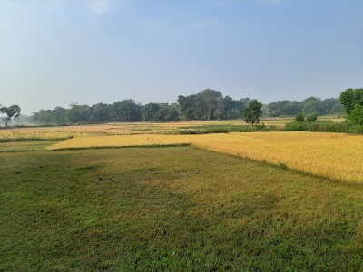 Bakutoli - Salegutu Road