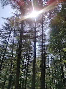 Dharamkot Road