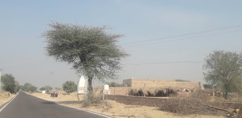 Gharsana - Ramsinghpur Road