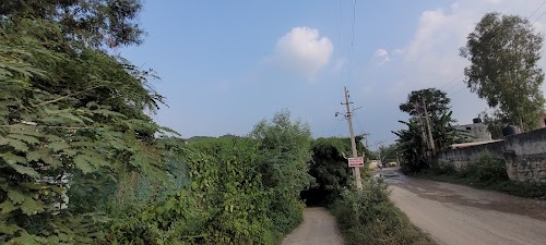 Kansa Devi Mandir Road