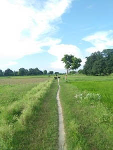Machhali Shahar Road