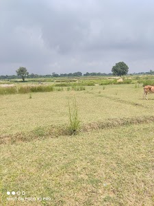 National Highway 31