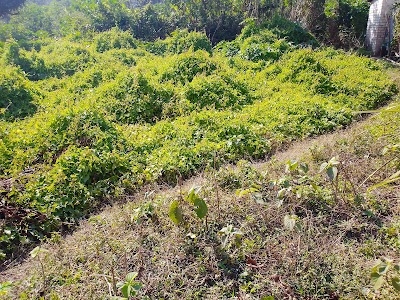 Nepali Farm Flyover
