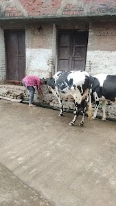 Shamli-Partapur Road