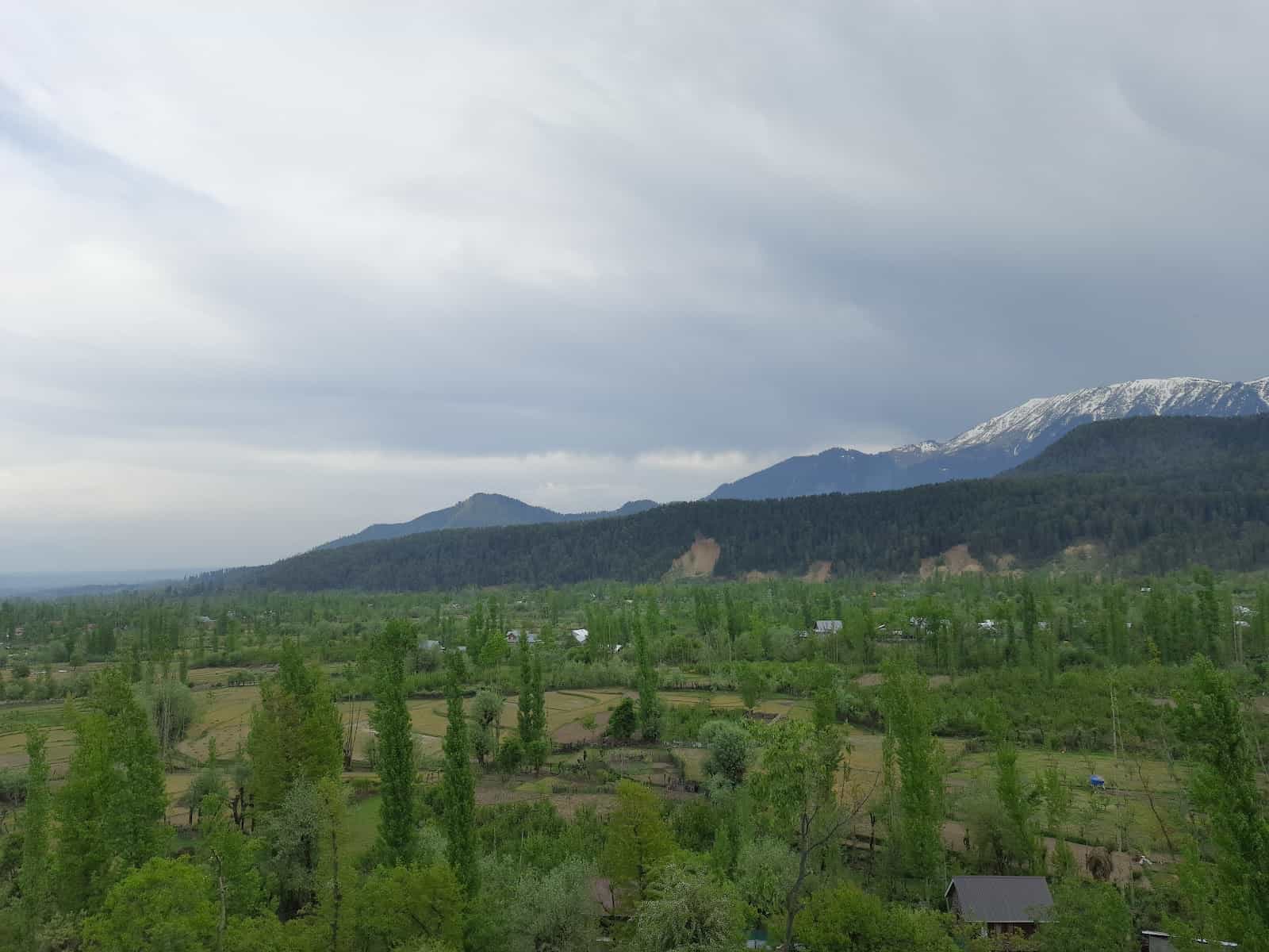 Tangmarg College Road