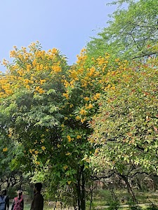 JNU Ring Road