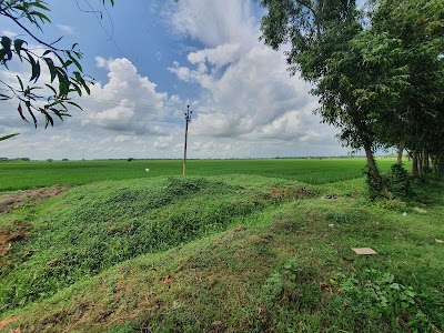 Maldanga - Memari Road