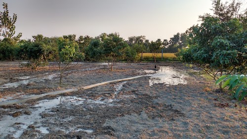 Muzaffarpur - Sitamarhi Road